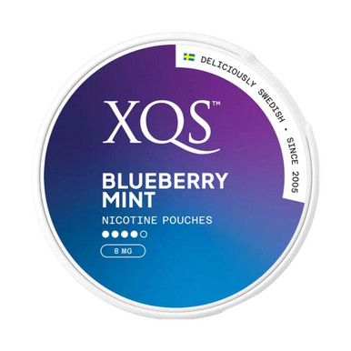 XQS - Blueberry Mint 8mg · 4-dots — buy online at Best UK Wholesaler