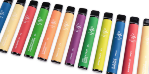 Elf Bar 600 Disposable Vape 