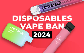 Are Disposable Vapes Banned